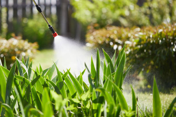 Tamper-Resistant Bait Stations for Rodents in Brunswick