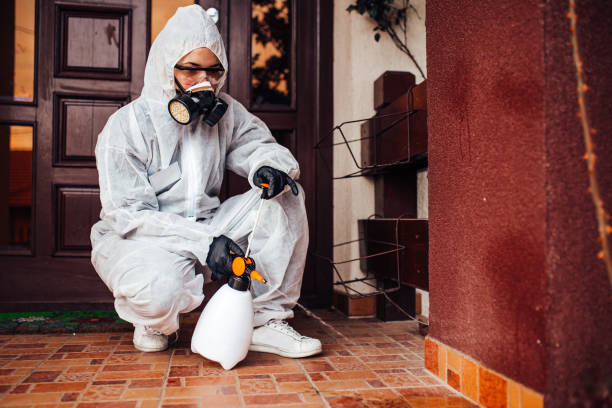 Attic and Crawl Space Rodent Treatment in Brunswick