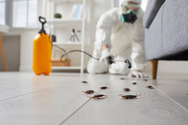 Commercial Rodent Management in Brunswick